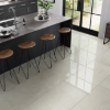 Picture of Emser Tile - Sterlina II 24 x 47 Polished Silver