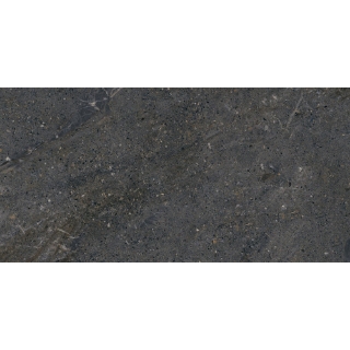 Picture of Emser Tile - Terramor 12 x 24 Nero