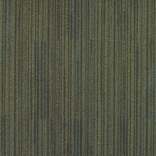 Picture of Patcraft - Studio Playing The Field