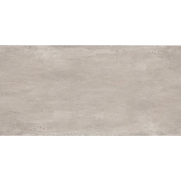 Picture of Emser Tile - Xtra Plus Pavers 23 x 47 Cytos Greige