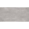 Picture of Emser Tile - Xtra Plus Pavers 23 x 47 Cytos Ash