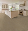 Picture of Shaw Floors - Prominence Plus Toasted Sienna