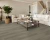 Picture of Shaw Floors - Distinction Plus Executive Oak
