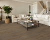 Picture of Shaw Floors - Distinction Plus Villa Oak