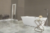 Picture of Daltile - Flat Brick