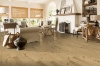 Picture of Bruce - Brushed Impressions Bronze Quiet Perfection