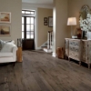 Picture of Mannington - Antigua Pacaya Mesquite Obsidian