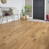 Picture of Mannington - Kodiak Champagne