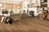 Picture of Bruce - Dundee Plank 3 1/4 Natural