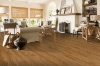 Picture of Bruce - Dundee Plank 3 1/4 Spice