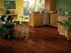 Picture of Bruce - Dundee Wide Plank 4 Cherry
