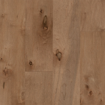 Picture of Bruce - Early Canterbury Densitek Tudor Tan