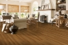 Picture of Bruce - Natural Choice Strip Low Gloss Desert Natural