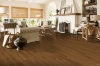 Picture of Bruce - Natural Choice Strip Low Gloss Mellow