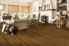 Picture of Bruce - Natural Choice Strip Low Gloss Spice