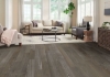 Picture of Bruce - Standing Timbers Densitek Timberline Gray