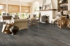 Picture of Bruce - Standing Timbers Densitek Timberline Gray