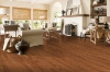 Picture of Bruce - Springdale Planks Densitek Butterscotch