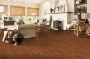 Picture of Bruce - Springdale Planks Densitek Gunstock