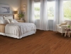 Picture of Bruce - Springdale Planks Densitek Gunstock