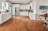 Picture of Bruce - Springdale Planks Densitek Mellow