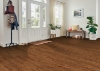 Picture of Bruce - Springdale Planks Densitek Mellow