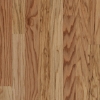 Picture of Bruce - Springdale Planks Densitek Toast