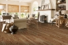 Picture of Bruce - Springdale Planks Densitek Toast