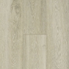 Picture of Bruce - TimberTru Nature Illustrated Arctic Escape