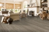 Picture of Bruce - TimberTru Nature Illustrated Breezy Oasis