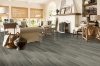 Picture of Bruce - TimberTru Nature Illustrated Coastal Cue
