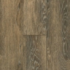 Picture of Bruce - TimberTru Nature Illustrated Backwoods