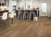 Picture of Bruce - American Honor Densitek American Natural