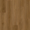 Picture of Durato - V-Evo Max Dresden