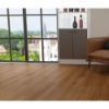 Picture of Durato - V-Evo Max Dresden