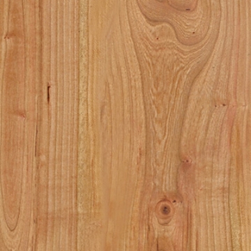 Picture of Amtico - Wood 9 x 48 Wild Cherry