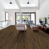 Picture of Shaw Floors - Presto Plus Burmese Teak