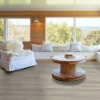 Picture of Shaw Floors - Impact Plus Washed Oak