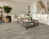 Picture of Shaw Floors - Paragon Tile Plus Ash