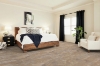 Picture of Shaw Floors - Paragon Tile Plus Clay