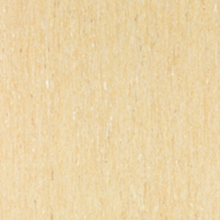 Picture of Tarkett - IQ Optima 24 x 24 Flan