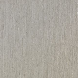 Picture of Tarkett - IQ Optima 24 x 24 Koala Bear