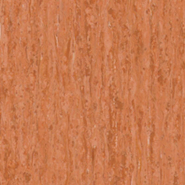 Picture of Tarkett - IQ Optima 24 x 24 Monarch Flying