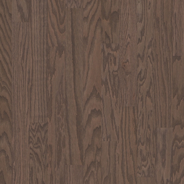 Picture of Shaw Floors - All In II 3.25 Kona LG