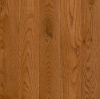 Picture of Armstrong - Prime Harvest Solid 5 Gunstock