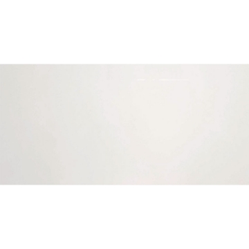Picture of American Wonder Porcelain - Arctic Style 12 x 24 Arctic White Polished