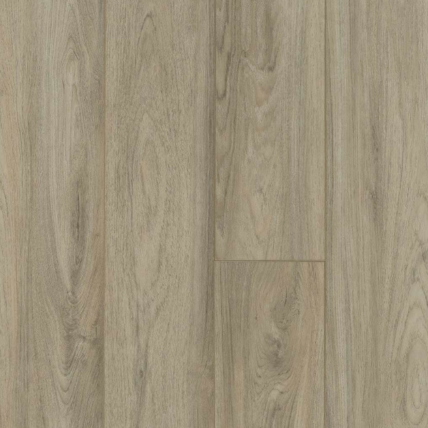 Picture of Shaw Floors - Pantheon HD Plus Pisa