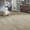 Picture of Shaw Floors - Pantheon HD Plus Pisa