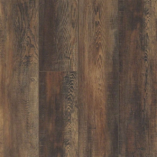 Picture of Shaw Floors - Pantheon HD Plus Orso
