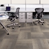 Picture of Next Floor - Development Camel Hair